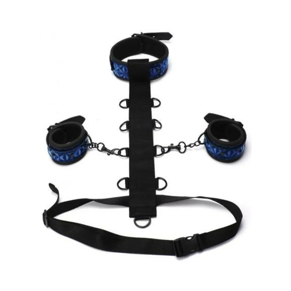Whipsmart Body Harn Restraint 3pc XGEN