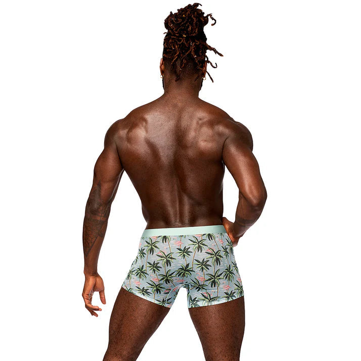 Sheer Prints - Seamless Sheer Short Flamingo MALE POWER