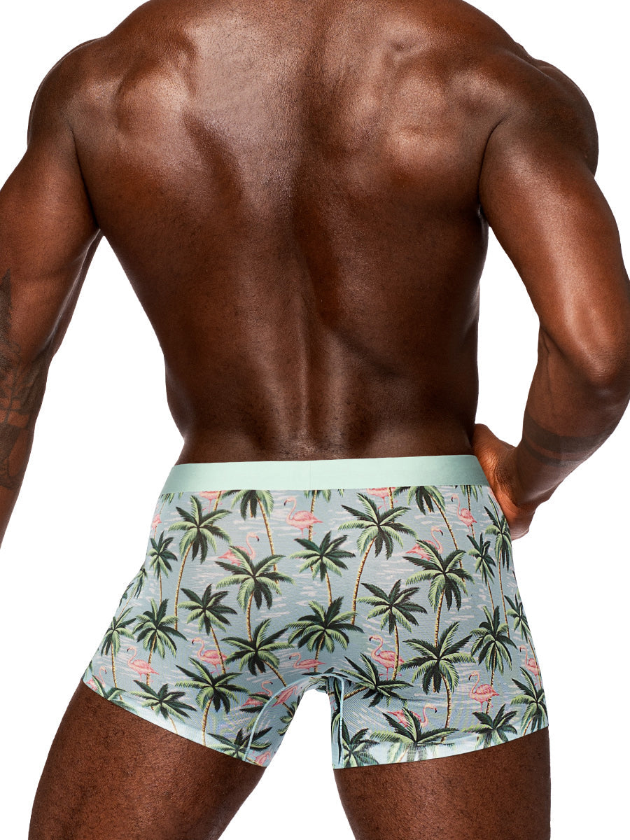 Sheer Prints - Seamless Sheer Short Flamingo MALE POWER