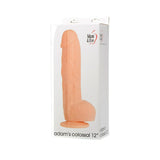 Adam & Eve Adam's Colossal Dildo