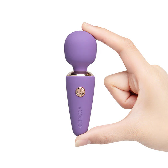 Le Wand Mini Micro Wand