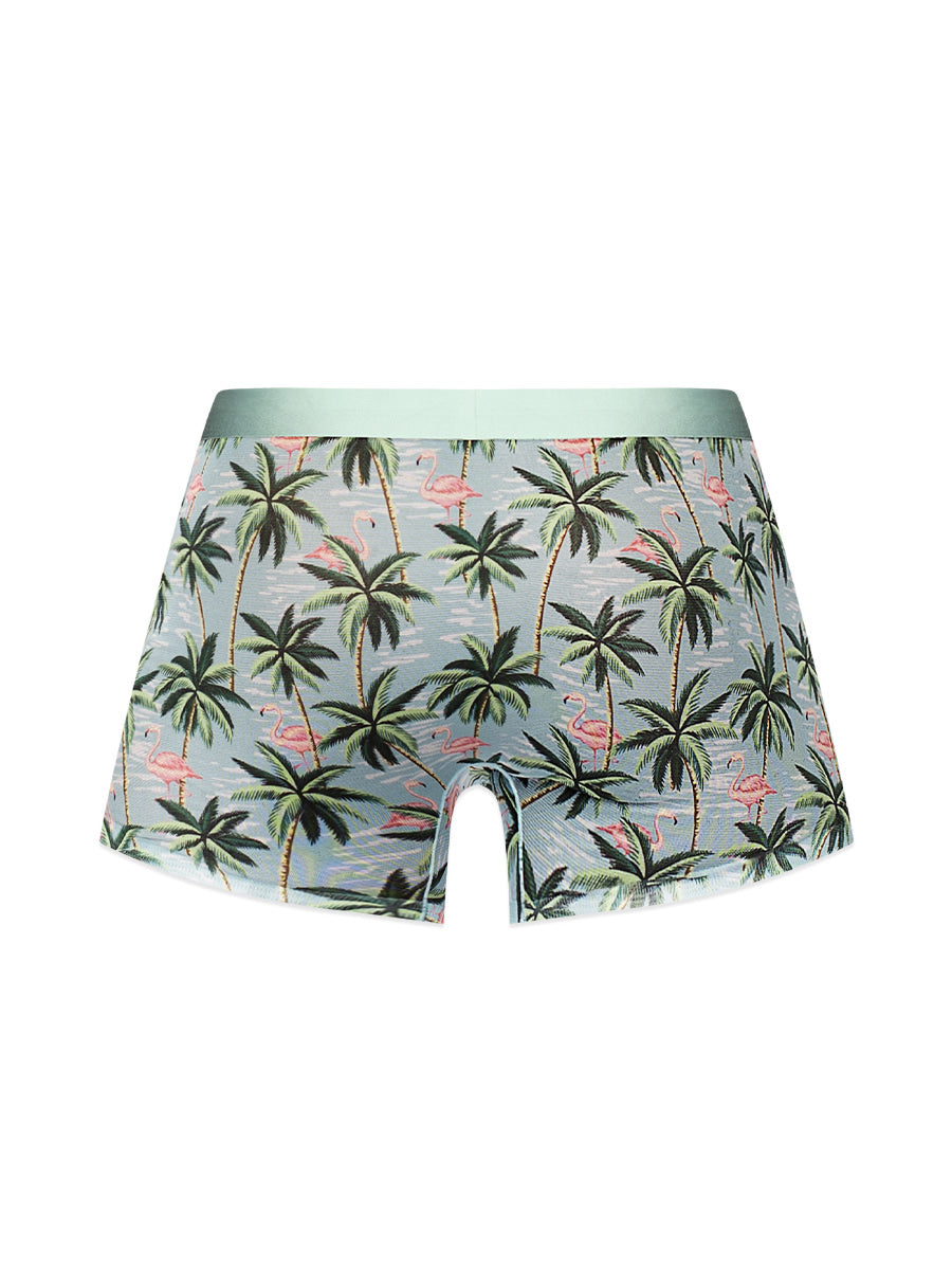 Sheer Prints - Seamless Sheer Short Flamingo MALE POWER