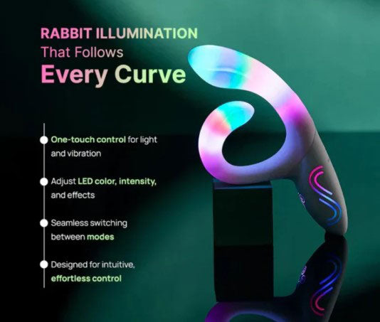 Paradise - Illumination the Rabbit
