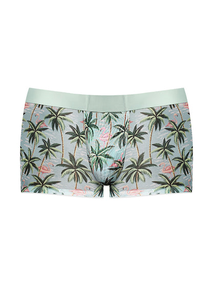 Sheer Prints - Seamless Sheer Short Flamingo MALE POWER
