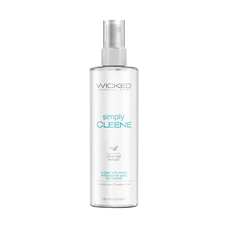 Wicked Simply Cleene Toy Cleaner WICKED